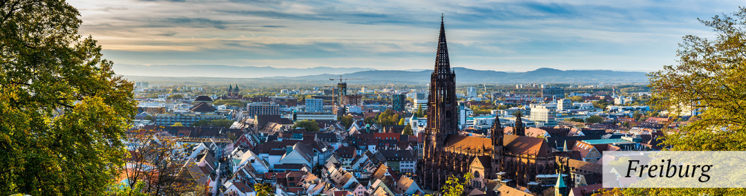 Jura Intensiv Freiburg
